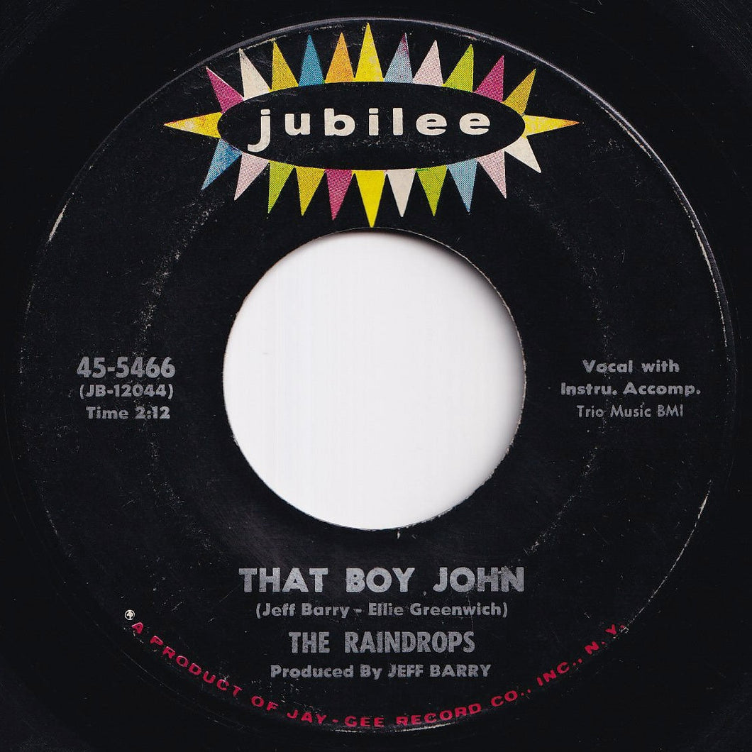 Raindrops - That Boy John / Hanky Panky (7 inch Record / Used)