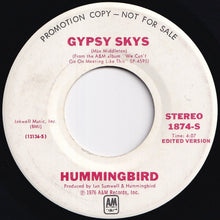 画像をギャラリービューアに読み込む, Hummingbird - Trouble Maker / Gypsy Skys (7 inch Record / Used)
