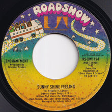 画像をギャラリービューアに読み込む, Enchantment - It&#39;s You That I Need / Sunny Shine Feeling (7 inch Record / Used)
