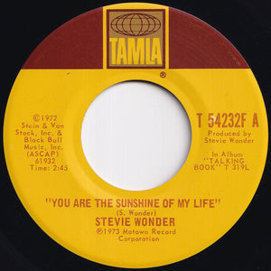 Stevie Wonder - You Are The Sunshine Of My Life / Tuesday Heartbreak (7 inch Record / Used)