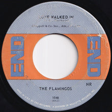 画像をギャラリービューアに読み込む, Flamingos - I Only Have Eyes For You / Love Walked In (7 inch Record / Used)
