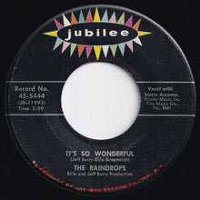 Load image into Gallery viewer, Raindrops - What A Guy / It&#39;s So Wonderful (7 inch Record / Used)
