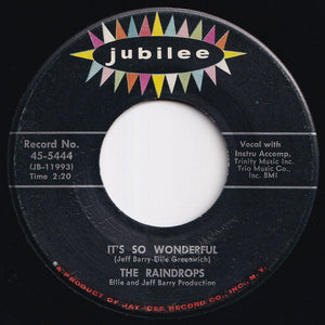 Raindrops - What A Guy / It's So Wonderful (7 inch Record / Used)