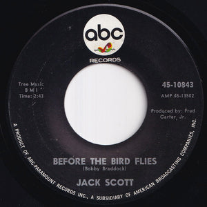 Jack Scott - Before The Bird Flies / Insane (7 inch Record / Used)