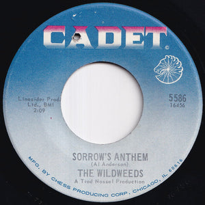 Wildweeds - It Was Fun (While It Lasted) / Sorrow's Anthem (7 inch Record / Used)