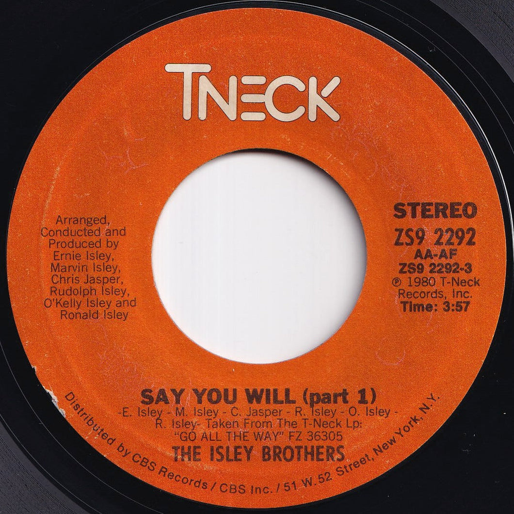 Isley Brothers - Say You Will (Part 1) / (Part 2) (7 inch Record / Used)