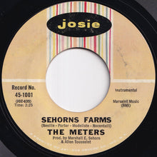 Load image into Gallery viewer, Meters - Sophisticated Cissy / Sehorns Farms (7 inch Record / Used)
