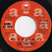 Load image into Gallery viewer, Lou Courtney - What Do You Want Me To Do (Stereo) / (Mono) (7 inch Record / Used)
