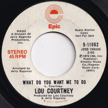 Load image into Gallery viewer, Lou Courtney - What Do You Want Me To Do (Stereo) / (Mono) (7 inch Record / Used)
