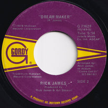 Load image into Gallery viewer, Rick James - Mary Jane / Dream Maker (7 inch Record / Used)
