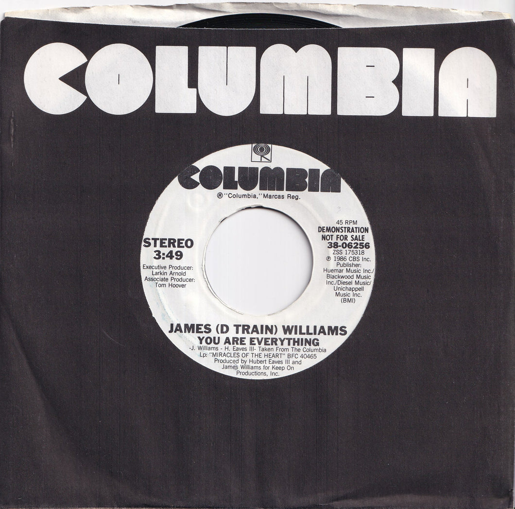 James (D Train) Williams - You Are Everything / (Instrumental) (7 inch Record / Used)