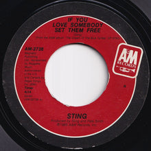 画像をギャラリービューアに読み込む, Sting - If You Love Somebody Set Them Free / Another Day (7 inch Record / Used)
