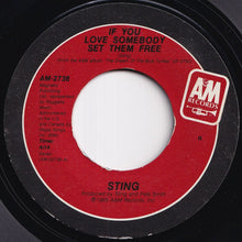 Load image into Gallery viewer, Sting - If You Love Somebody Set Them Free / Another Day (7 inch Record / Used)
