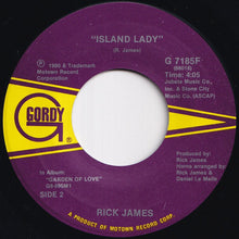 Load image into Gallery viewer, Rick James - Big Time / Island Lady (7 inch Record / Used)
