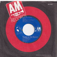 Load image into Gallery viewer, Randy &amp; The Gypsys - Love You Honey / (Dub 7") (7 inch Record / Used)
