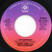 Load image into Gallery viewer, Jimmy James &amp; The Vagabonds - I Am Somebody / Chains Of Love (7 inch Record / Used)
