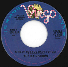 画像をギャラリービューアに読み込む, Raindrops - Kind Of Boy You Can't Forget / What A Guy (7 inch Record / Used)
