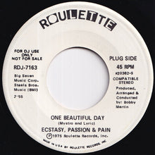 Load image into Gallery viewer, Ecstasy, Passion &amp; Pain - One Beautiful Day (Stereo) / (Mono) (7 inch Record / Used)
