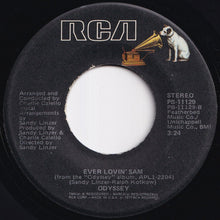 画像をギャラリービューアに読み込む, Odyssey - Native New Yorker / Ever Lovin' Sam (7 inch Record / Used)
