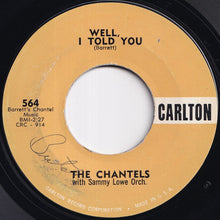 Load image into Gallery viewer, Chantels - Still / Well, I Told You (7 inch Record / Used)

