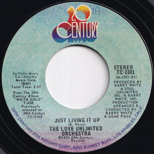 画像をギャラリービューアに読み込む, Love Unlimited Orchestra - My Sweet Summer Suite / Just Living It Up (7 inch Record / Used)
