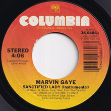 画像をギャラリービューアに読み込む, Marvin Gaye - Sanctified Lady / (Instrumental) (7 inch Record / Used)
