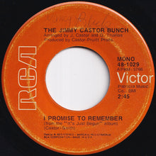 Load image into Gallery viewer, Jimmy Castor Bunch - Troglodyte (Cave Man) / I Promise To Remember (7 inch Record / Used)
