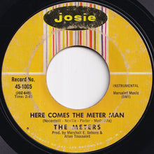 画像をギャラリービューアに読み込む, Meters - Cissy Strut / Here Comes The Meter Man (7 inch Record / Used)
