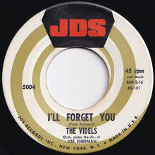 画像をギャラリービューアに読み込む, Videls - Mister Lonely / I'll Forget You (7 inch Record / Used)
