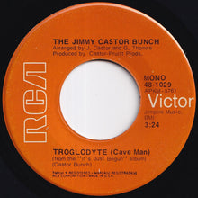 画像をギャラリービューアに読み込む, Jimmy Castor Bunch - Troglodyte (Cave Man) / I Promise To Remember (7 inch Record / Used)

