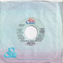 画像をギャラリービューアに読み込む, Barry White - Never, Never Gonna Give Ya Up (Short Version) / (Long Version) (7 inch Record / Used)
