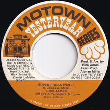 画像をギャラリービューアに読み込む, Rick James - Super Freak (Part I) / Give It To Me Baby (7 inch Record / Used)
