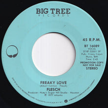 画像をギャラリービューアに読み込む, Flesch - Freaky Love (Stereo) / (Mono) (7 inch Record / Used)
