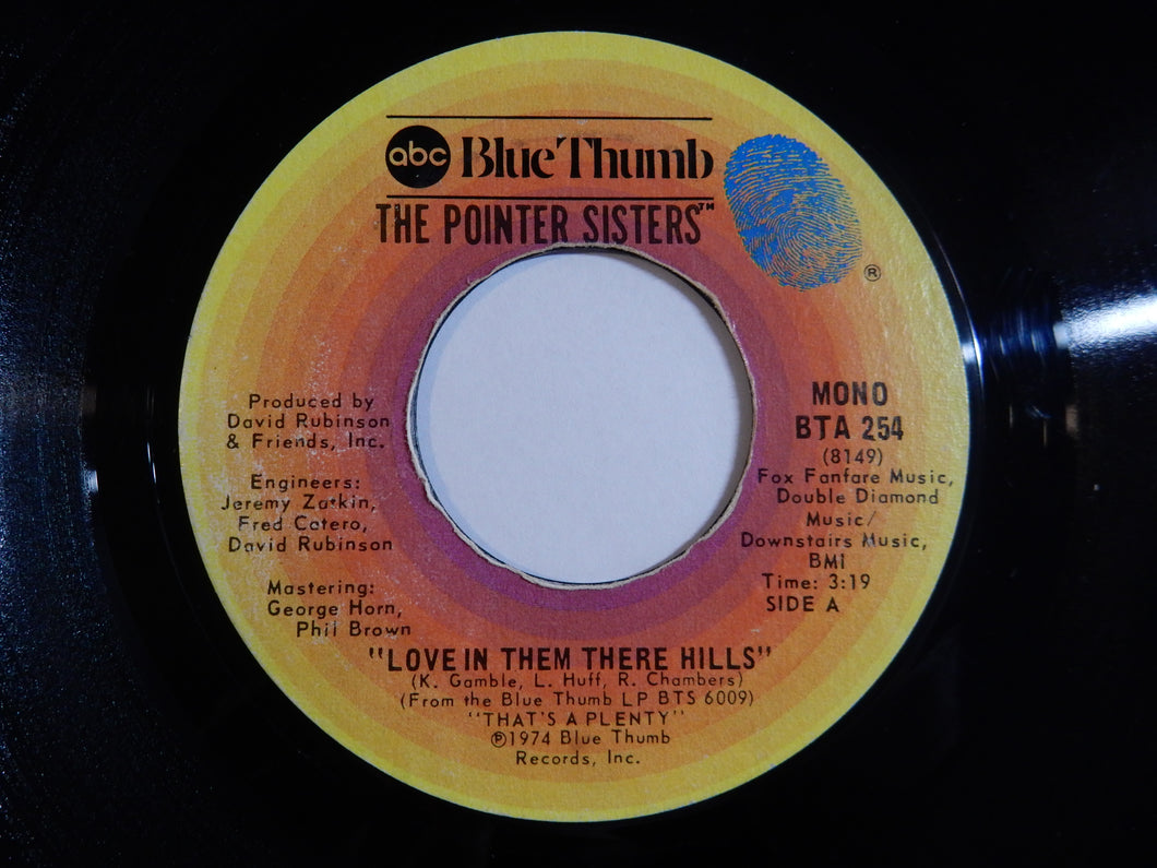 Pointer Sisters - Love In Them There Hills / Fairytale (7inch-Vinyl Record/Used)