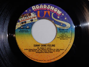 Enchantment - It's You That I Need / Sunny Shine Feeling (7inch-Vinyl Record/Used)