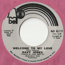 画像をギャラリービューアに読み込む, Davy Jones - Rainy Jane / Welcome To My Love (7inch-Vinyl Record/Used)
