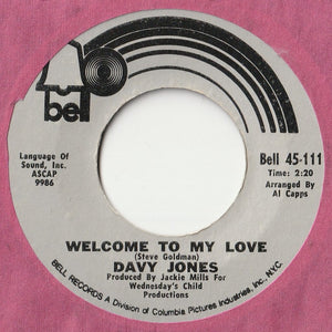 Davy Jones - Rainy Jane / Welcome To My Love (7inch-Vinyl Record/Used)