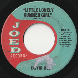 David Box - Little Lonely Summer Girl / No One Will Ever Know (7 inch Record / Used)