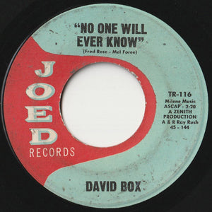 David Box - Little Lonely Summer Girl / No One Will Ever Know (7 inch Record / Used)