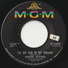 画像をギャラリービューアに読み込む, Junior Waters - Rockin&#39; That History / I&#39;ll See You In My Dreams (7 inch Record / Used)
