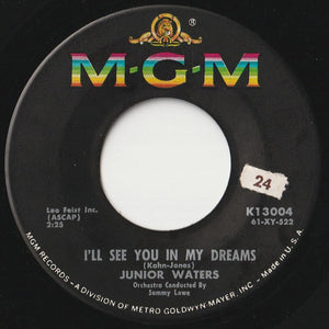 Junior Waters - Rockin' That History / I'll See You In My Dreams (7 inch Record / Used)