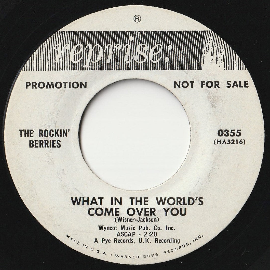 Rockin' Berries - What In The World's Come Over You / You Don't Know What You Do (7 inch Record / Used)