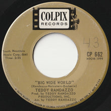 画像をギャラリービューアに読み込む, Teddy Randazzo - Big Wide World / Be Sure My Love (7 inch Record / Used)
