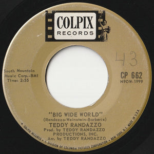 Teddy Randazzo - Big Wide World / Be Sure My Love (7 inch Record / Used)