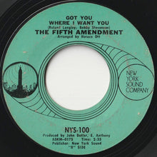 Load image into Gallery viewer, Fifth Amendment - Please Don&#39;t Leave Me Now / Got You Where I Want You (7 inch Record / Used)
