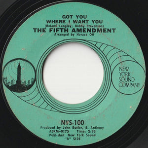 Fifth Amendment - Please Don't Leave Me Now / Got You Where I Want You (7 inch Record / Used)