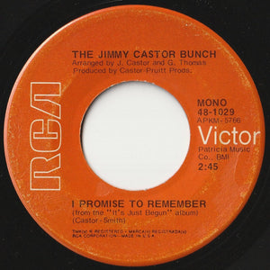 Jimmy Castor Bunch - Troglodyte (Cave Man) / I Promise To Remember (7 inch Record / Used)