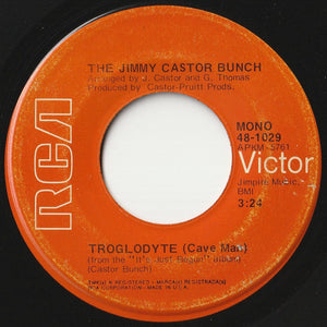 Jimmy Castor Bunch - Troglodyte (Cave Man) / I Promise To Remember (7 inch Record / Used)