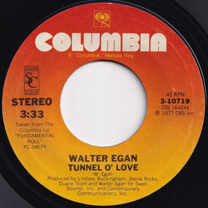 Walter Egan - Magnet And Steel / Tunnel O' Love (7 inch Record / Used)