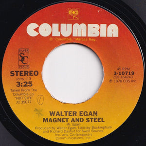 Walter Egan - Magnet And Steel / Tunnel O' Love (7 inch Record / Used)